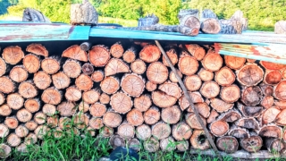 Thumbnail of post image 098